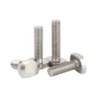 Stainless Steel T Bolts