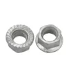 Hot Dip Galvanized Flange Nuts