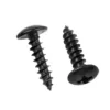 Black Pan Head Self-tapping Screws